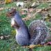 20081029_newyork_centralpark_061